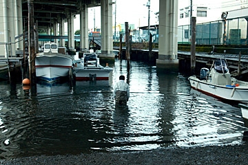 &copy; Shochiku Broadcasting / Arc Films