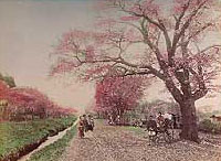 Tokyo 100 år